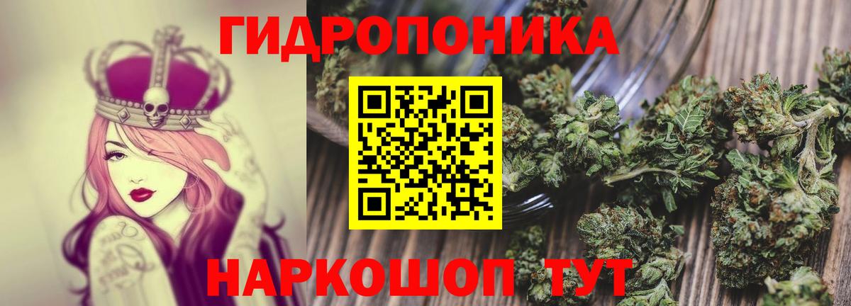 Волжский  Шишки марихуана Ganja  Бошки Шишки Amnesia  Вход с VPN 
